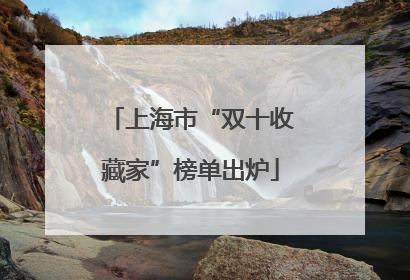 上海市“双十收藏家”榜单出炉