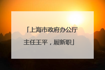上海市政府办公厅主任王平，履新职