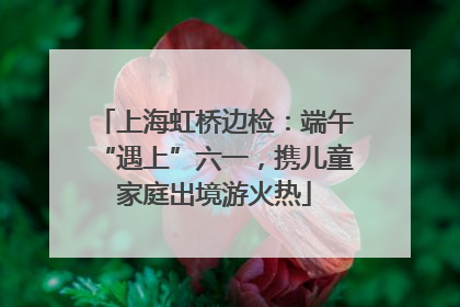 上海虹桥边检：端午“遇上”六一，携儿童家庭出境游火热