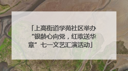 上高街道学苑社区举办“银龄心向党，红歌送华章”七一文艺汇演活动