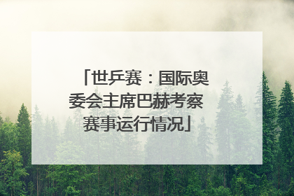 世乒赛：国际奥委会主席巴赫考察赛事运行情况