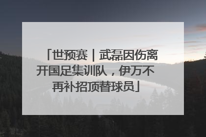 世预赛｜武磊因伤离开国足集训队，伊万不再补招顶替球员
