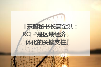 东盟秘书长高金洪：RCEP是区域经济一体化的关键支柱