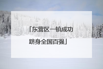 东营区一镇成功跻身全国百强