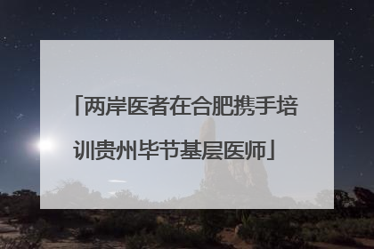 两岸医者在合肥携手培训贵州毕节基层医师
