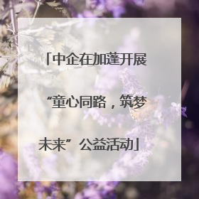 中企在加蓬开展“童心同路，筑梦未来”公益活动