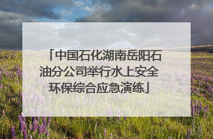 中国石化湖南岳阳石油分公司举行水上安全环保综合应急演练