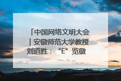 中国网络文明大会｜安徽师范大学教授刘道胜：“E”览徽风，构筑中华民族共有精神家园