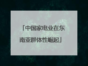 中国家电业在东南亚群体性崛起