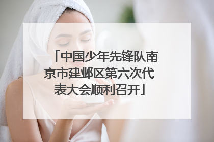 中国少年先锋队南京市建邺区第六次代表大会顺利召开