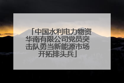 中国水利电力物资华南有限公司党员突击队勇当新能源市场开拓排头兵