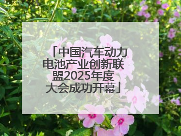 中国汽车动力电池产业创新联盟2025年度大会成功开幕