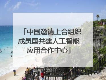 中国邀请上合组织成员国共建人工智能应用合作中心