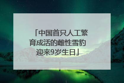 中国首只人工繁育成活的雌性雪豹迎来9岁生日