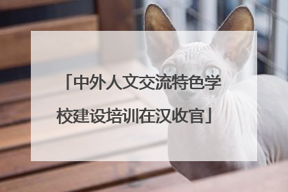 中外人文交流特色学校建设培训在汉收官