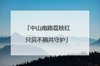 中山南路荔枝红 只赏不摘共守护