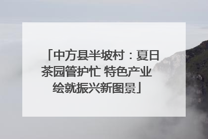 中方县半坡村：夏日茶园管护忙 特色产业绘就振兴新图景