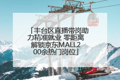 丰台区直播带岗助力精准就业 零距离解锁京东MALL200余热门岗位