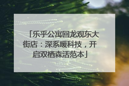 乐乎公寓回龙观东大街店：深系暖科技，开启双栖森活范本