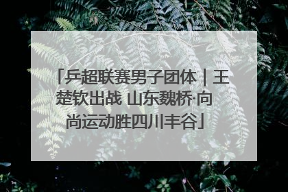 乒超联赛男子团体｜王楚钦出战 山东魏桥·向尚运动胜四川丰谷