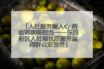 人社服务暖人心 两面锦旗映担当——东昌府区人社局优质服务赢得群众双赞誉