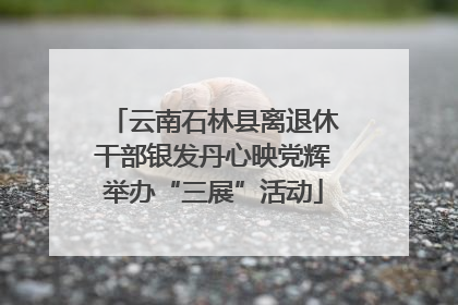 云南石林县离退休干部银发丹心映党辉举办“三展”活动
