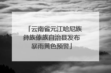 云南省元江哈尼族彝族傣族自治县发布暴雨黄色预警