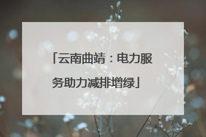 云南曲靖：电力服务助力减排增绿