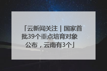 云新闻关注｜国家首批39个重点培育对象公布，云南有3个