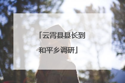 云霄县县长到和平乡调研