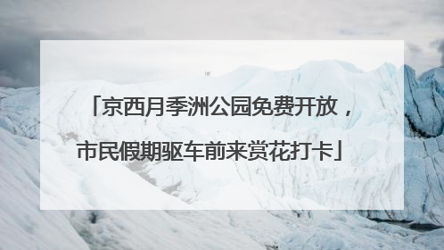 京西月季洲公园免费开放，市民假期驱车前来赏花打卡