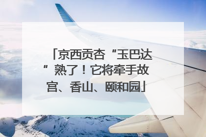 京西贡杏“玉巴达”熟了！它将牵手故宫、香山、颐和园