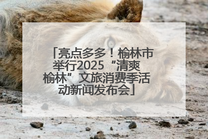 亮点多多！榆林市举行2025“清爽榆林”文旅消费季活动新闻发布会