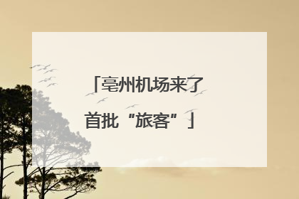 亳州机场来了首批“旅客”