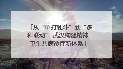 从“单打独斗”到“多科联动” 武汉构建精神卫生共病诊疗新体系