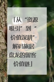 从“资源吸引”到“价值深耕” 解码旅居盘龙的留客价值链