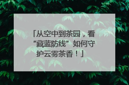 从空中到茶园，看“藏蓝防线”如何守护云雾茶香！