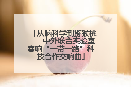 从脑科学到猕猴桃——中外联合实验室奏响“一带一路”科技合作交响曲