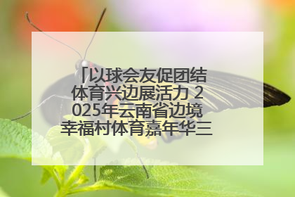 以球会友促团结 体育兴边展活力 2025年云南省边境幸福村体育嘉年华三人篮球赛圆满收官