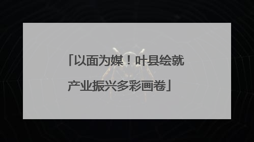 以面为媒！叶县绘就产业振兴多彩画卷