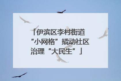 伊滨区李村街道 “小网格”撬动社区治理“大民生”