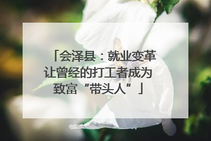 会泽县：就业变革让曾经的打工者成为致富“带头人”