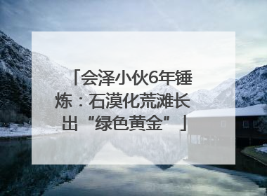 会泽小伙6年锤炼：石漠化荒滩长出“绿色黄金”