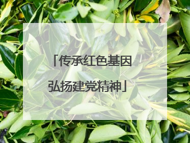 传承红色基因 弘扬建党精神