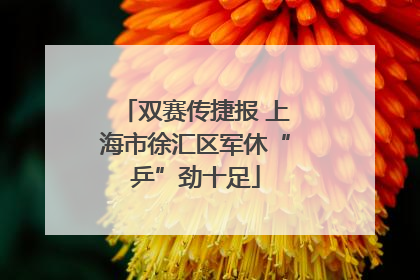 双赛传捷报 上海市徐汇区军休“乒”劲十足