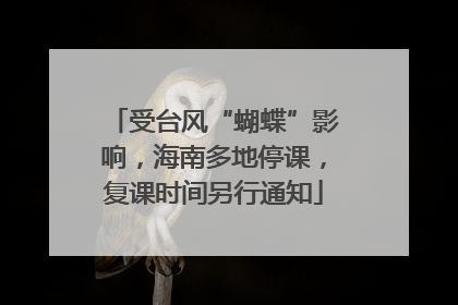 受台风“蝴蝶”影响，海南多地停课，复课时间另行通知