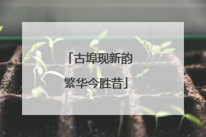 古埠现新韵 繁华今胜昔