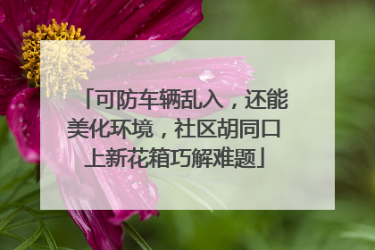 可防车辆乱入，还能美化环境，社区胡同口上新花箱巧解难题