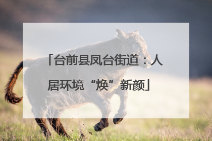 台前县凤台街道：人居环境“焕”新颜
