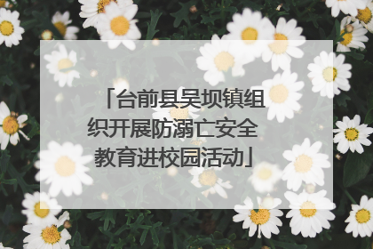 台前县吴坝镇组织开展防溺亡安全教育进校园活动
